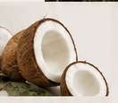 Virgin Coconut Oil from Indonesia